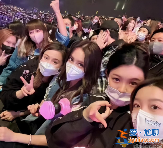 前一秒杨颖带儿子逛街被受好评 下一秒杨颖现身韩团BLACKPINK演唱会惹争议
