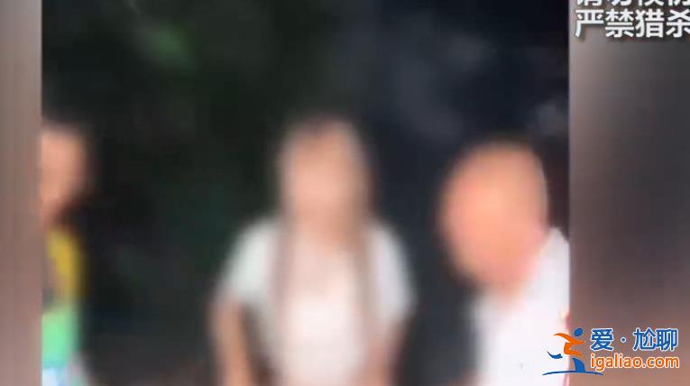 网红博主烹食噬人鲨被罚12.5万 后续来了？