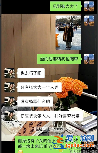 杨幂最新情况！戴假发滑冰没被人认出来 张大大自爆杨幂是为他人着想