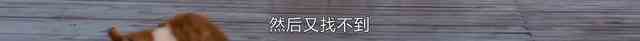 《白色月光》：张鑫出轨了吗？小三究竟是谁？真相已在细节中？
