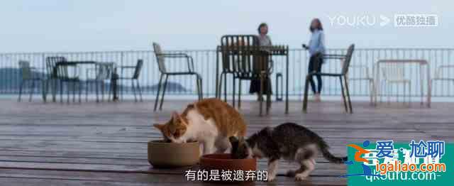 《白色月光》：张鑫出轨了吗？小三究竟是谁？真相已在细节中？