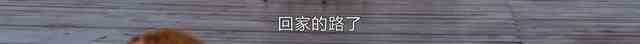 《白色月光》：张鑫出轨了吗？小三究竟是谁？真相已在细节中？