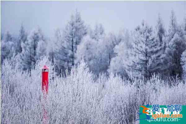冬季阿尔山旅游攻略 这些必玩景点值得关注？
