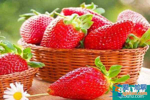 上海哪里摘草莓比较好 上海冬季摘草莓好去处？