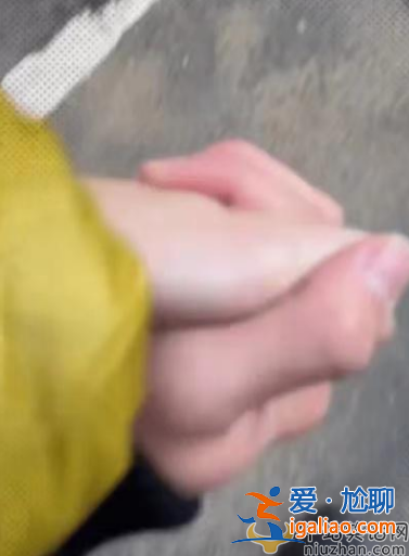 张柏芝男友罕见现身!两人牵手公开秀恩爱 男方酷似前夫谢霆锋
