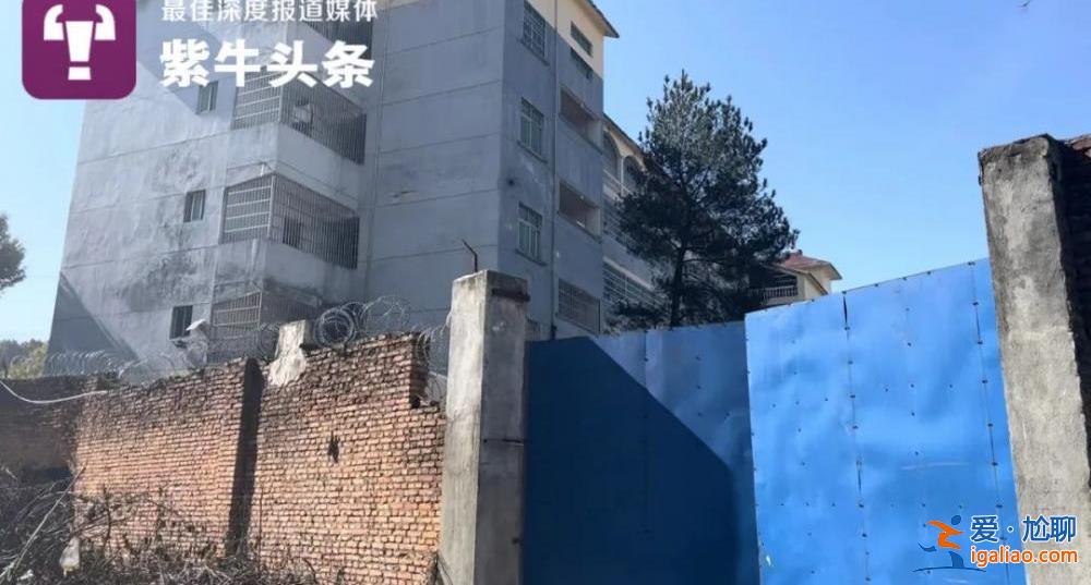 新环境真的难适应？