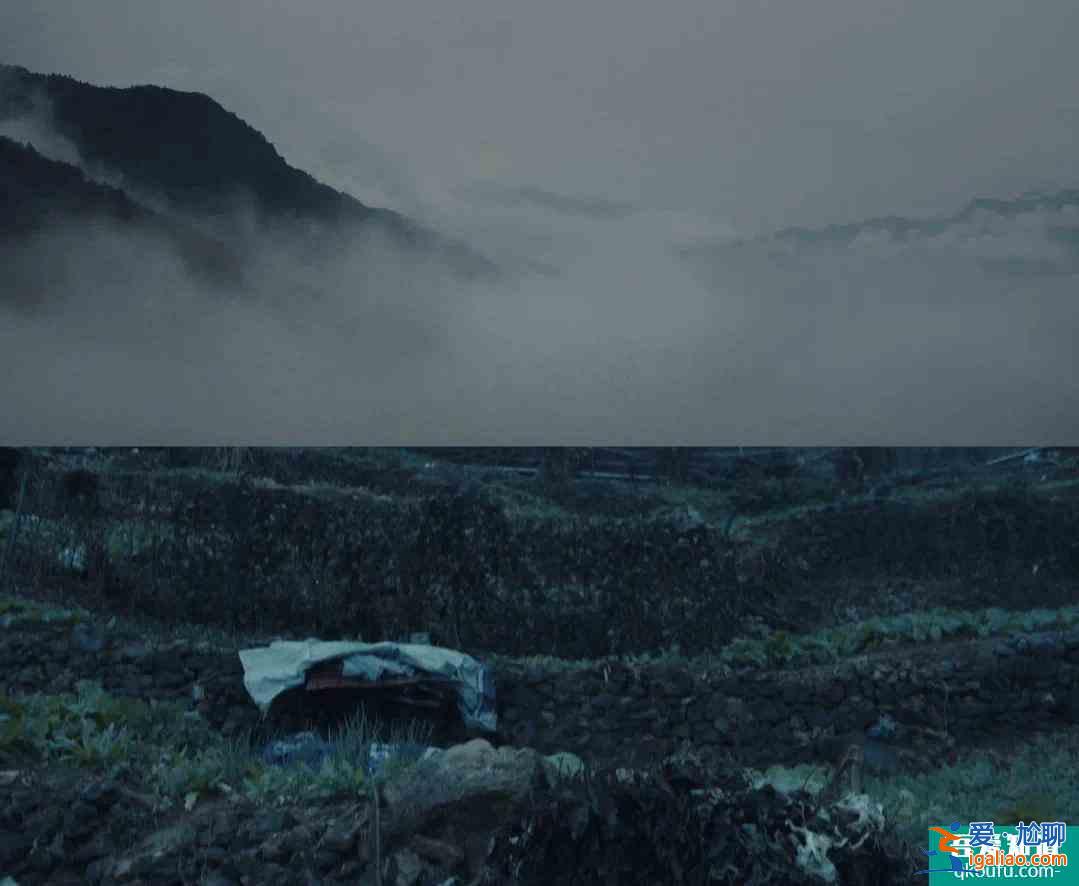 《非常目击》首播测评：迷雾剧场回归，差距却有点大？