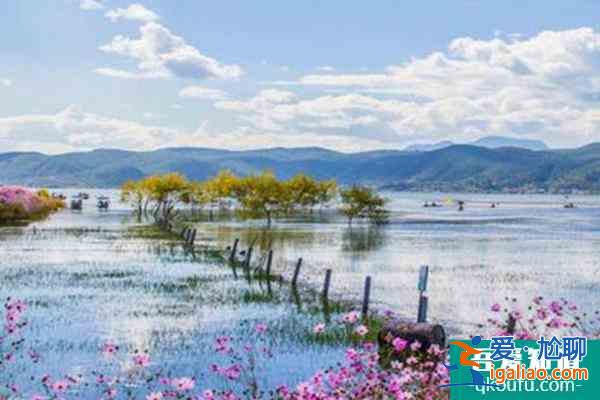江西艾溪湖森林湿地公园门票多少钱？