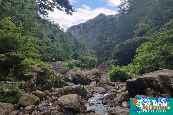 2021温州受疫情影响中雁荡山景区暂时关闭？