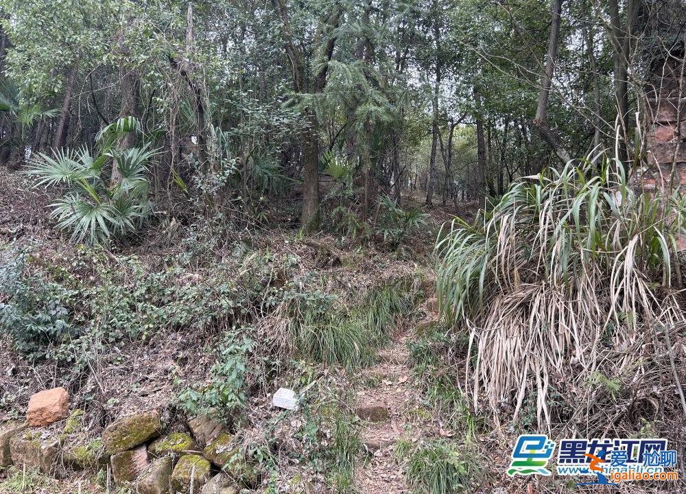 山路设卡封锁 校区特警巡逻、增设临检？