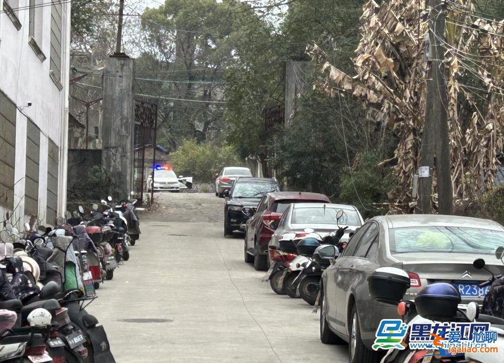 山路设卡封锁 校区特警巡逻、增设临检？