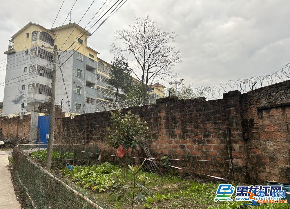 山路设卡封锁 校区特警巡逻、增设临检？