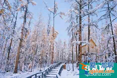 冬天看雪去哪里比较好 冬季赏雪胜地？
