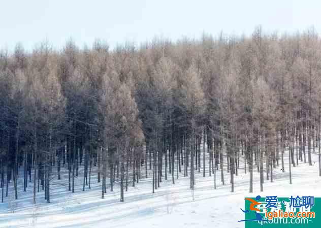 冬天看雪去哪里比较好 冬季赏雪胜地？