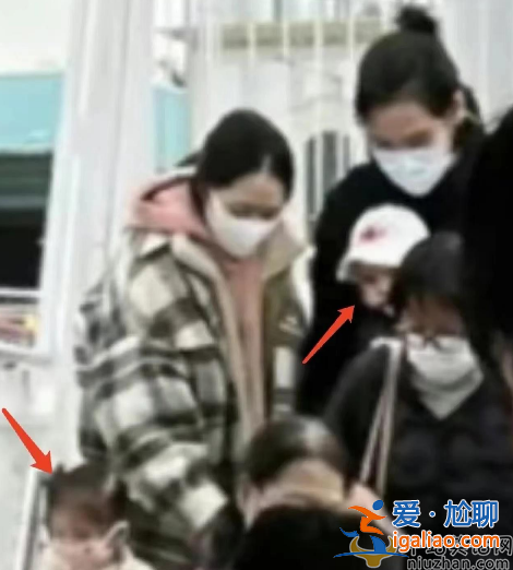 郭碧婷向佐罕见同框!向佐化身奶爸全程带娃 力破婚变传闻