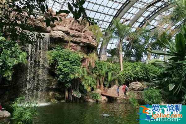 2021天津热带植物观光园门票多少钱？