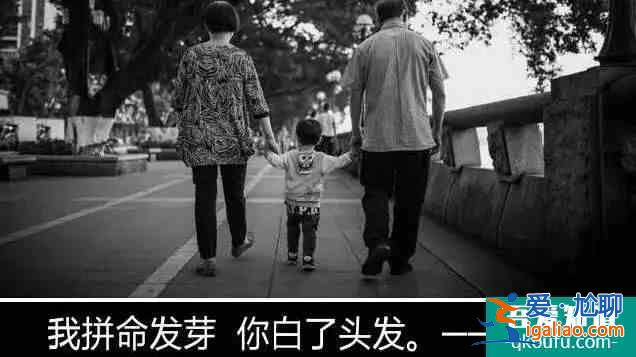 以家人之名：父母在人生尚有来处，父母去人生只剩归途？