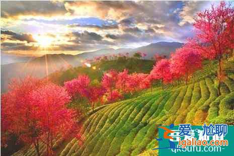 冬季云南旅游景点大全？