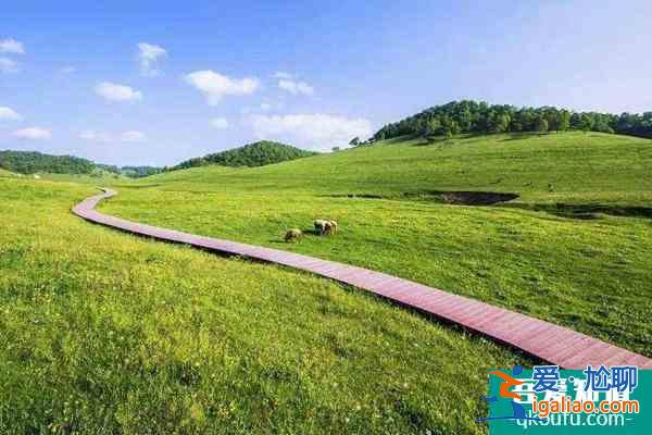 关山草原景区门票信息 关山草原冬季闭园持续时间？