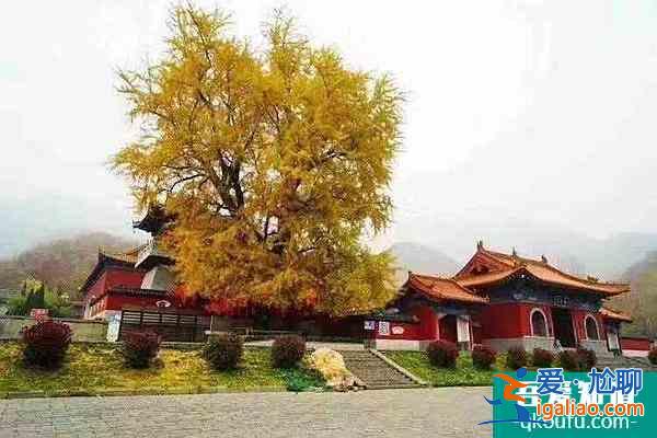 禹州大鸿寨好玩吗 禹州大鸿寨景点推荐？