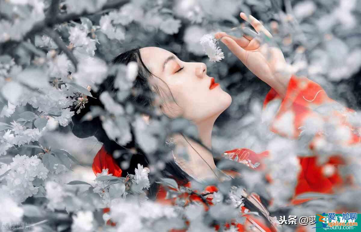 《琉璃》：爆款元素齐备，差的就是一点点颜值吗？？