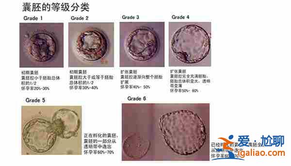 今日〖第三代试管婴儿成功率高吗〗高龄助孕吕进峰生子助孕公司？