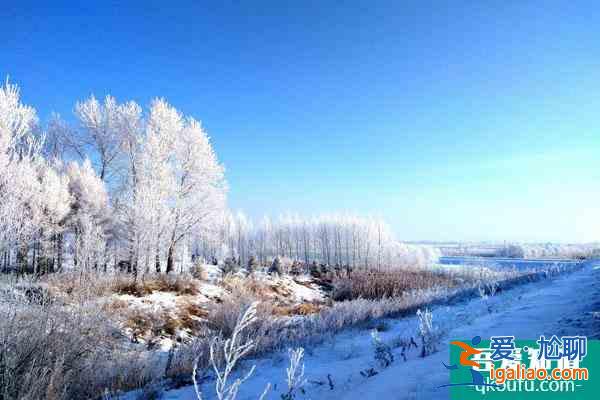 中国看雪最美的地方推荐 国内看雪的旅游胜地？
