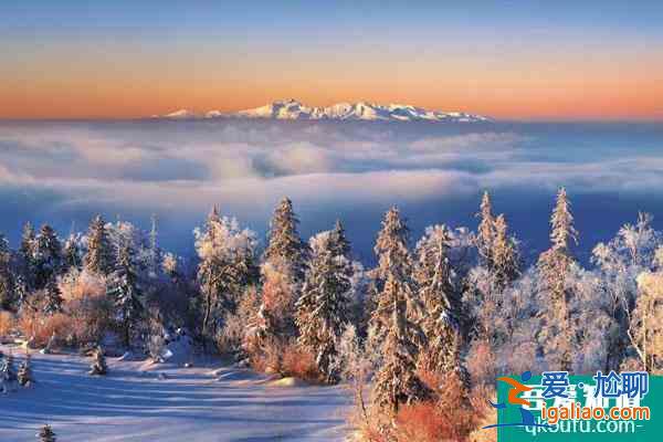中国看雪最美的地方推荐 国内看雪的旅游胜地？