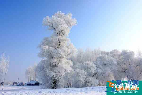 中国看雪最美的地方推荐 国内看雪的旅游胜地？