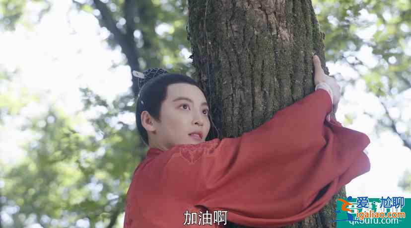 《女世子》里哥哥妹妹同时爱上一个人，原来他才是新晋“蛊王”？