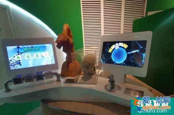 2021受疫情影响宁波科学探索中心临时闭馆？