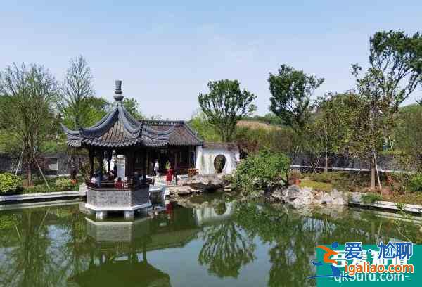2022年1月句容A级景区向南京市民免费开放？