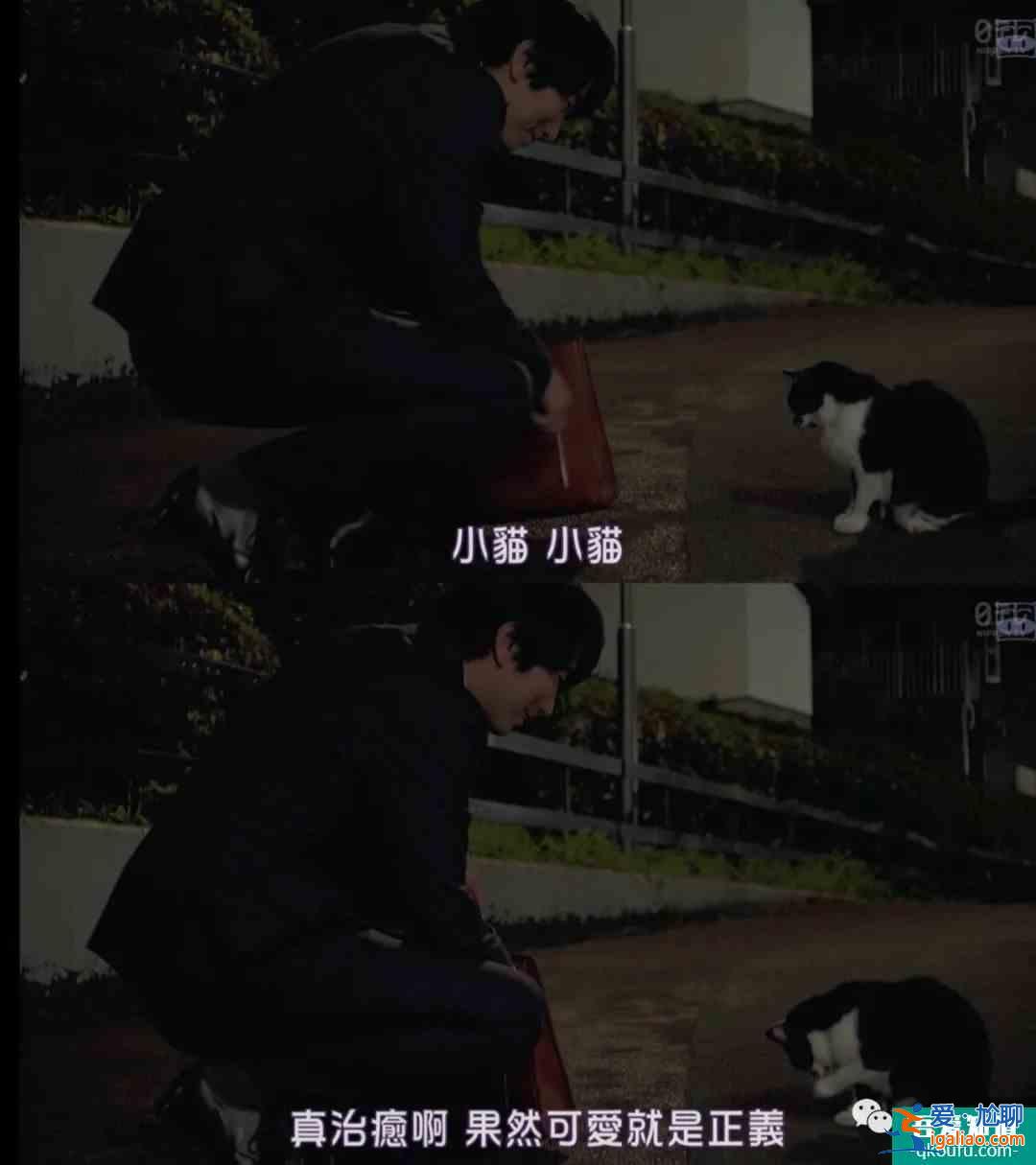 《秘密森林2》终于开播，私心推荐一波张弛有度的追剧清单？