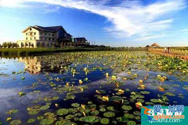 2021年12月河南省新郑市旅游景点即将恢复开放？