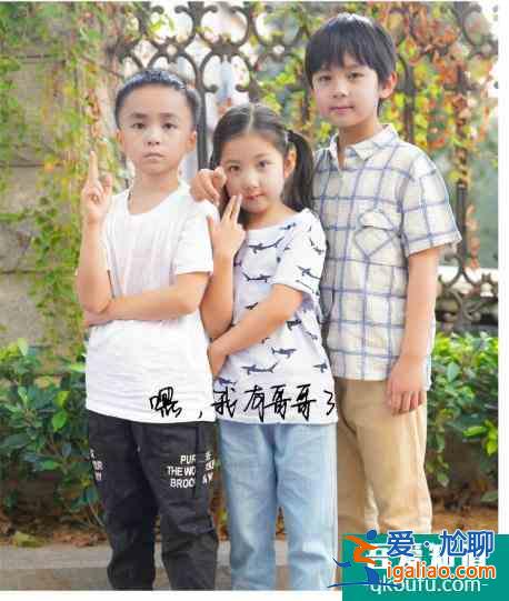 “以家人之名”，又让观众哭着哭着，就被治愈了？