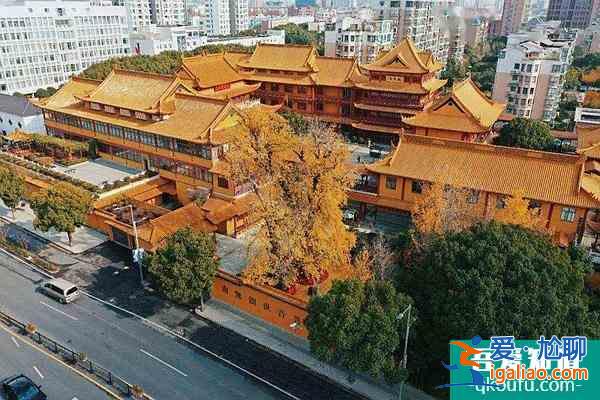上海奉贤区冬日旅游景点推荐？