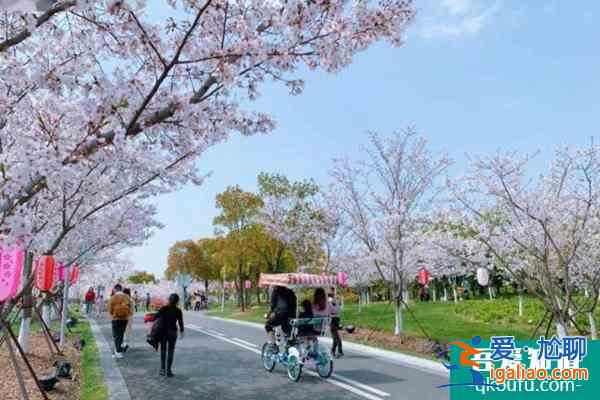 2021宁波植物园12月6日临时闭园公告？