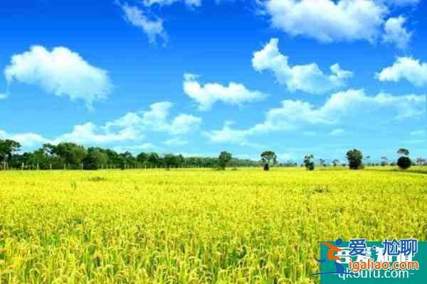 2021上海新评定1家4A级景区 4家3A级景区? 2021上海新评定1家4A级景区 4家3A级景区?