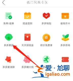 拼多多果树怎么换品种？