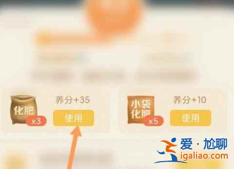 拼多多果树进入衰老期怎样恢复？