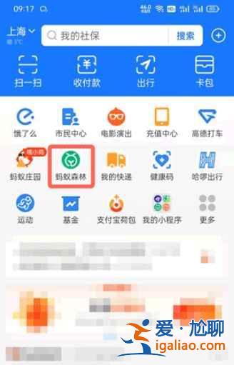 支付宝东宁保护地去哪领？