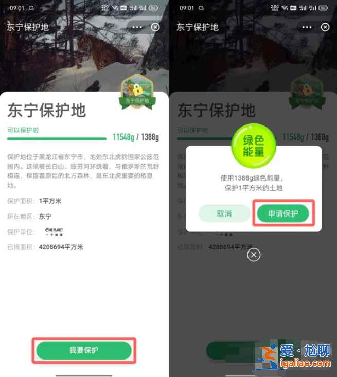 支付宝东宁保护地去哪领？