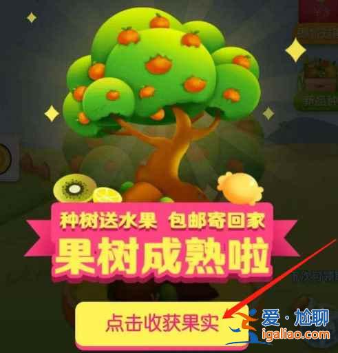 拼多多的果树成熟了怎么领？