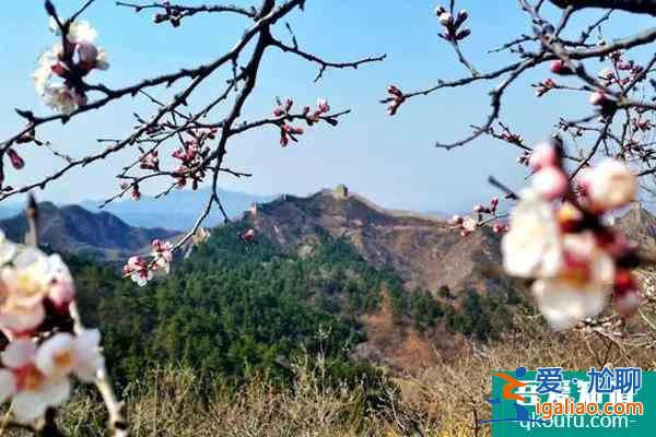 金山岭长城年票去哪办?多少钱?？