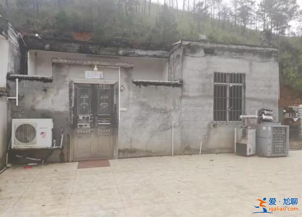 出入口隐蔽 养有两条看家狗？