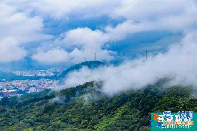2021观音山森林公园开放时间 东莞观音山森林公园开放了吗？