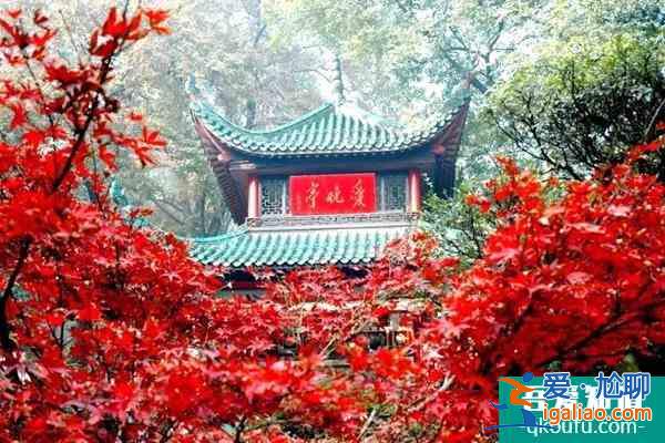 长沙岳麓山景点介绍及游玩攻略？