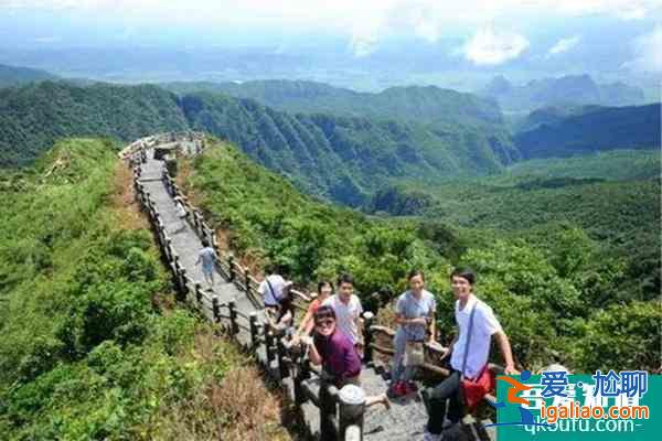 2022南宁大明山茶景区春节有什么活动？