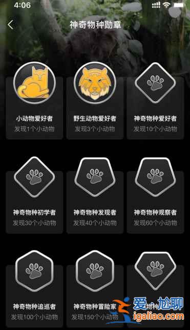 蚂蚁森林神奇物种勋章怎么获得？