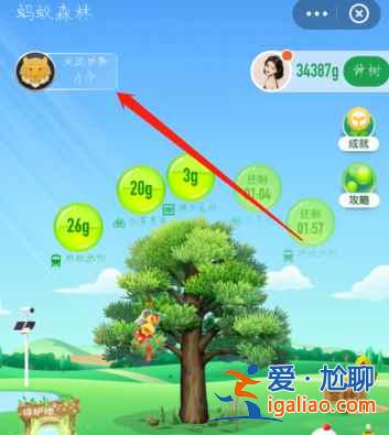 蚂蚁森林神奇物种勋章怎么获得？